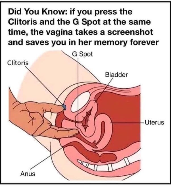 Meme