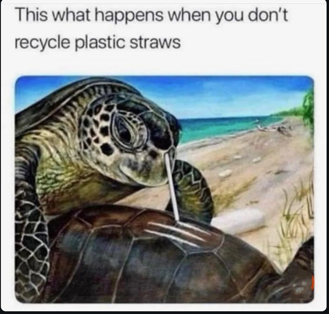 Meme